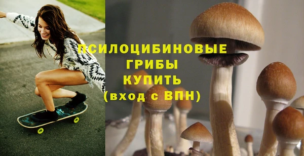 прущие крисы Михайлов