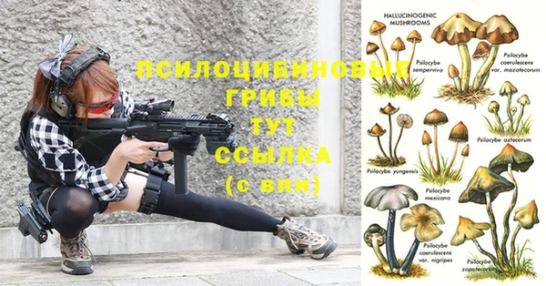 стаф Вязники